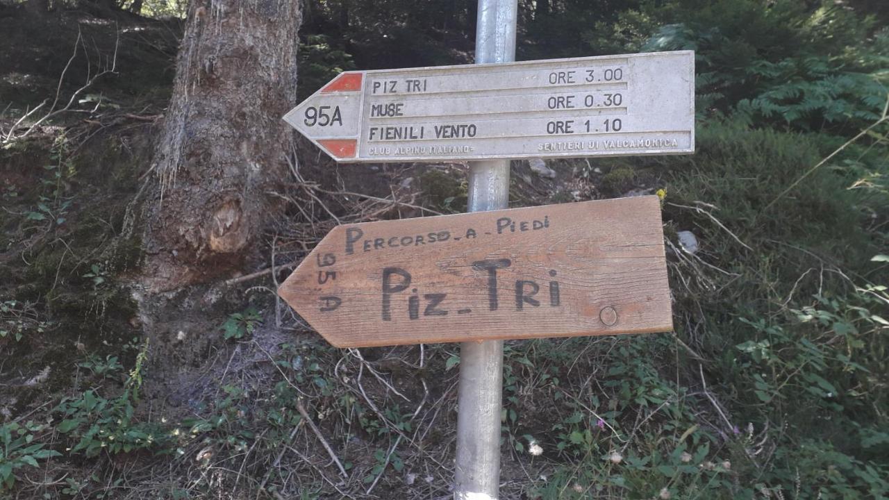 Casa Vacanza Pineta Malonno Exterior foto